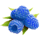 Blueberry