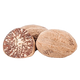 Nutmeg