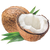 Coconut
