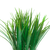 نجيل الهند