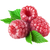 Berries