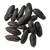 Tonka Bean